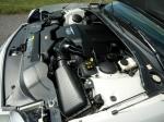 Ford Thunderbird 50th Anniversary 2005 года